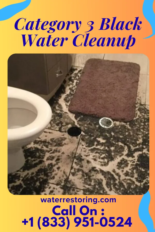 Category 3 Black Water Cleanup in Maple Grove, MI
