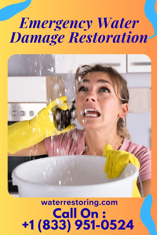 Emergency Water Damage Restoration in Maple Grove, MI