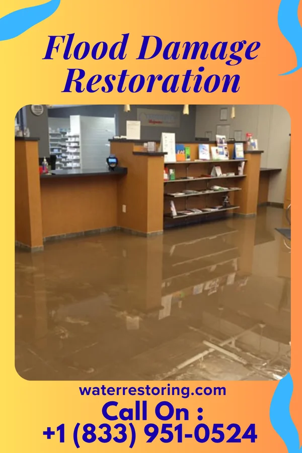 Flood Damage Restoration in Maple Grove, MI