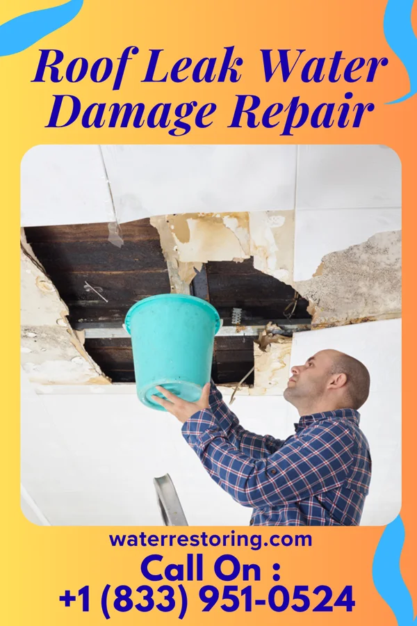 Roof Leak Water Damage Repair in Maple Grove, MI